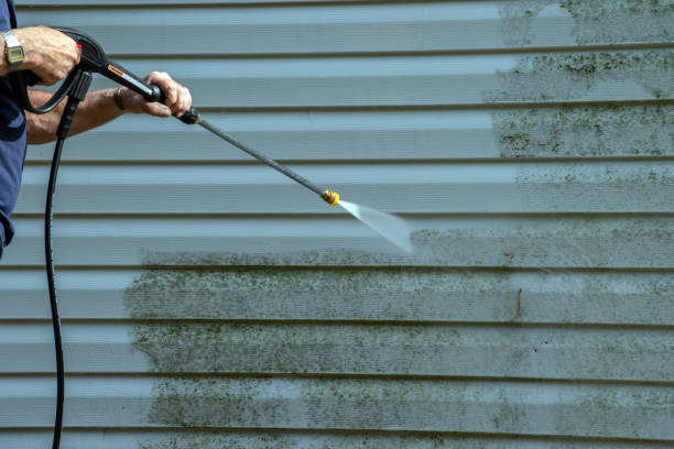 Best Paint Preparation  in Ramseur, NC